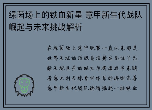 绿茵场上的铁血新星 意甲新生代战队崛起与未来挑战解析